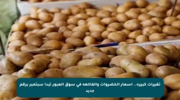 تغيرات كبيرة.. أسعار الخضروات والفاكهة في سوق العبور تبدأ سبتمبر برقم جديد